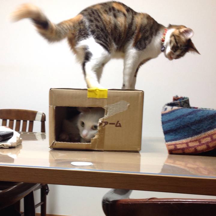 A69e5909 a977 4a6e 97e4 da6274e5d061 1639264349094