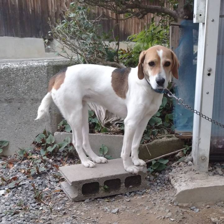 A69e8eaa 849b 4092 90f8 0dfd96364d04 1617631281834