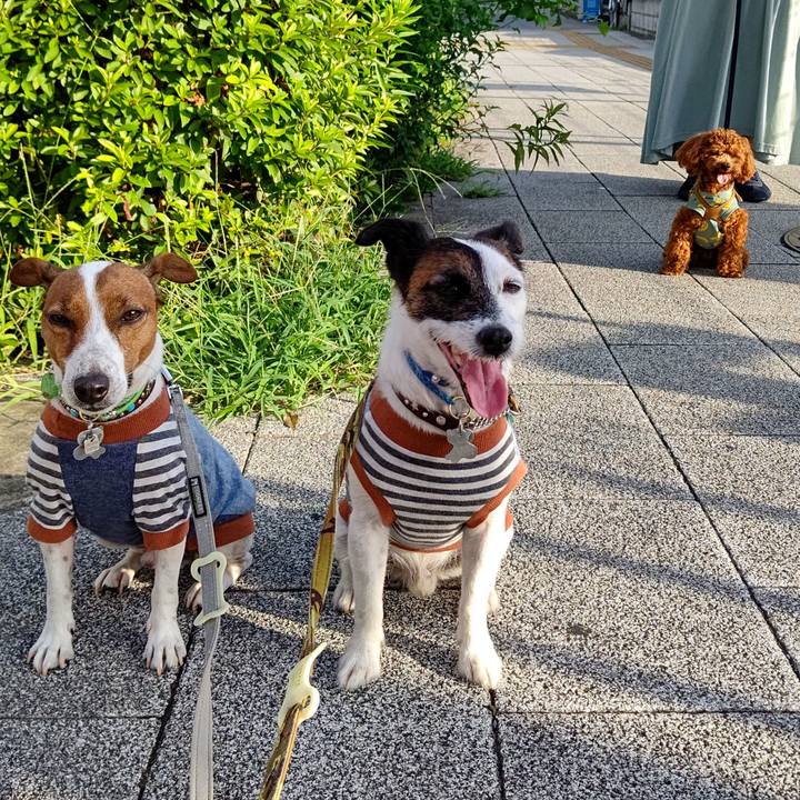 A69eb23d 14ea 4eae 9a26 c9a584437e92 1659130667835