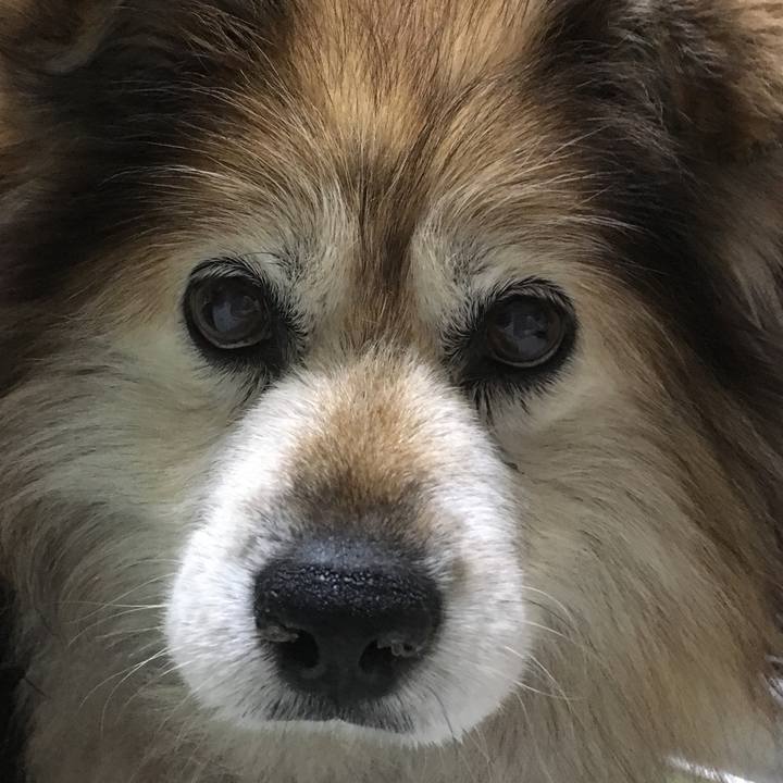 A69edca5 c34d 4390 9154 317eb3ad91bf 1601573084019