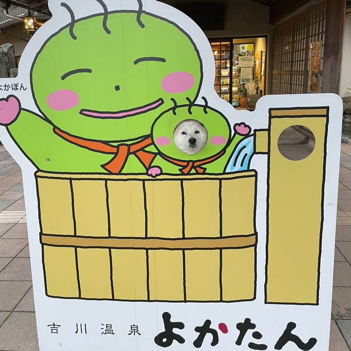 A69efc2b e9f5 44fa 9f52 15571bf1c5e4 1647742111205