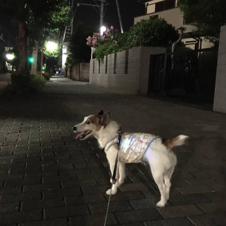 A69f2d7b 1783 4691 a013 bf4a2ec270c0 1659225383436