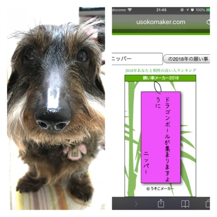 A69f4914 9f75 4edf aeff 7c88ad2bcb8d 1530967996071