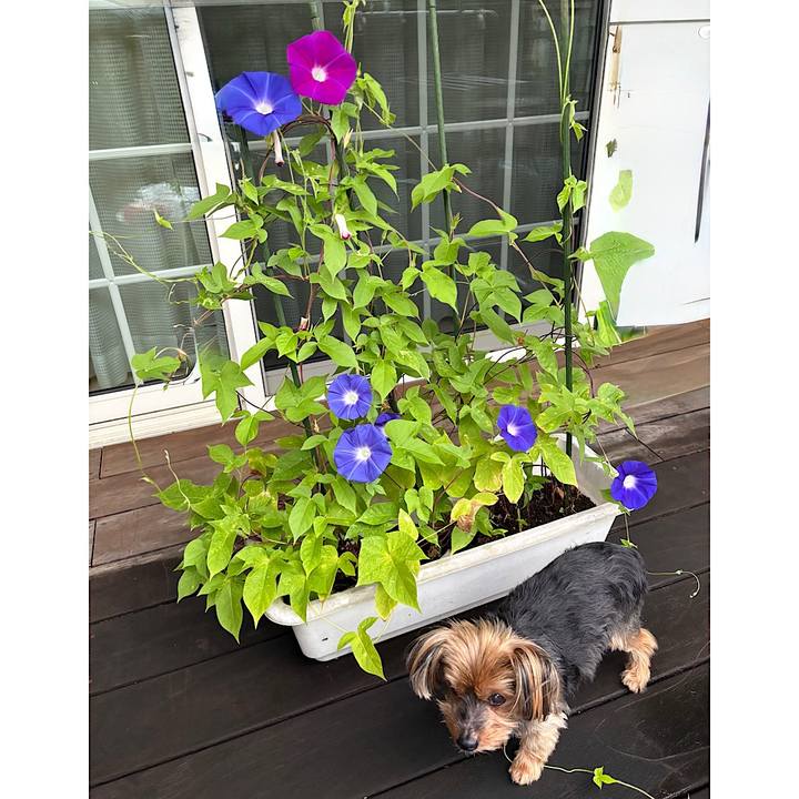 A69f5a4f 4d1d 4af7 b568 8fa643a1e90b 1754865167471