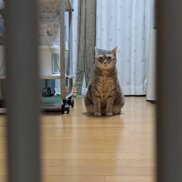 A69f6d59 8e46 4b42 b667 0d9da5bea045 1722922565149