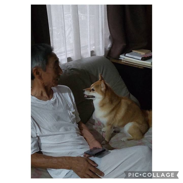 A69f7d51 a44a 4bd6 a491 532552b217b9 1724023813430