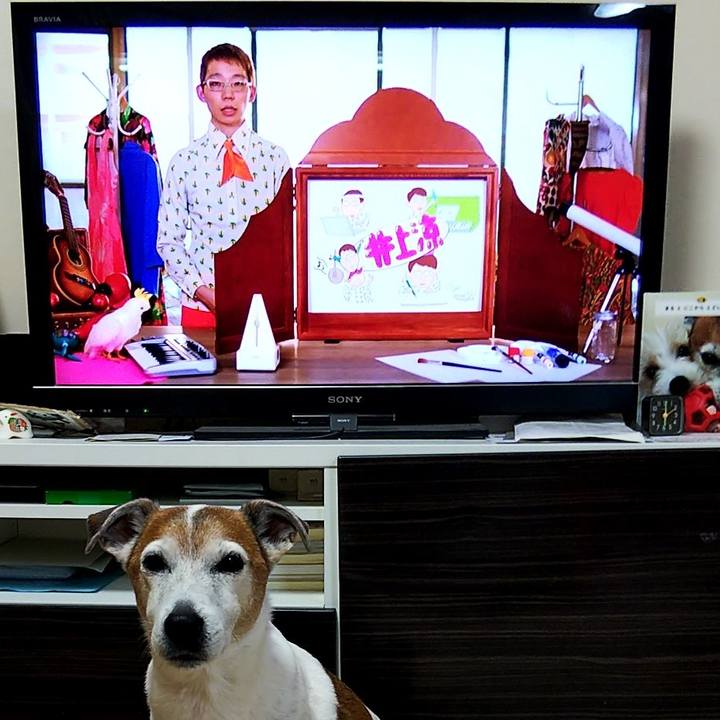 A69f909f 2470 4722 9134 b5b20919b9fa 1550441995900