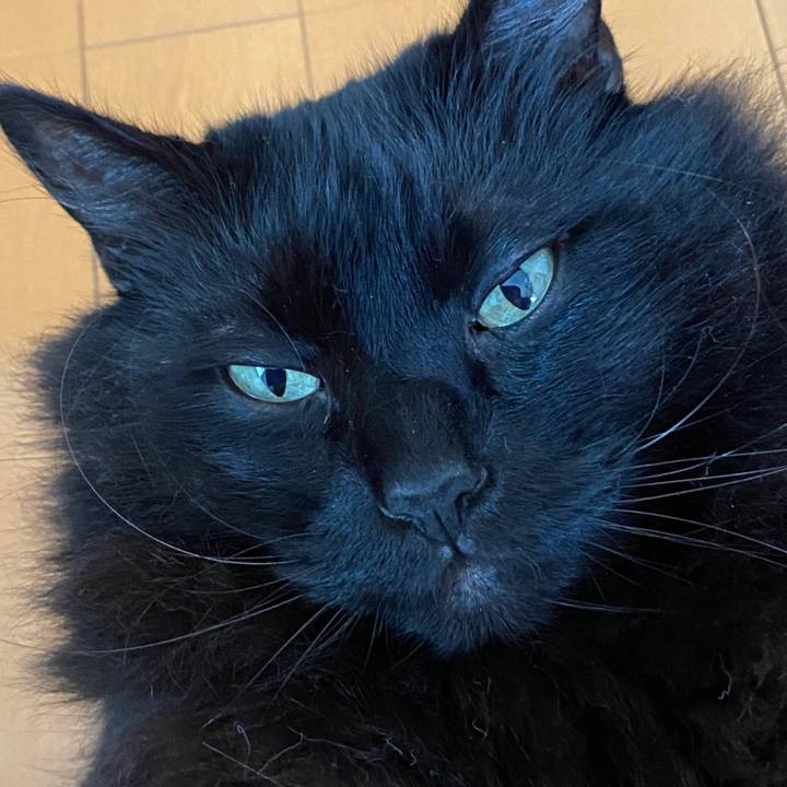 A69fc919 3a7d 4930 95bc 27db2cf97355 1599323604813