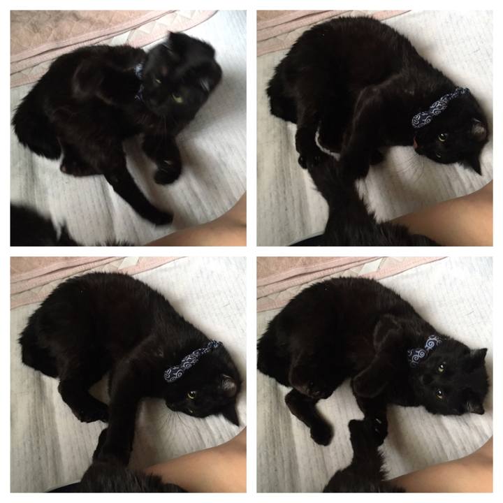 A69fcde6 4f95 4cd9 bb33 f8a5ce90db8e 1552426479526