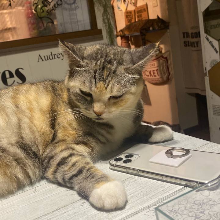 A69ff31d 44b5 4032 80da 889163185a7e 1626957103745