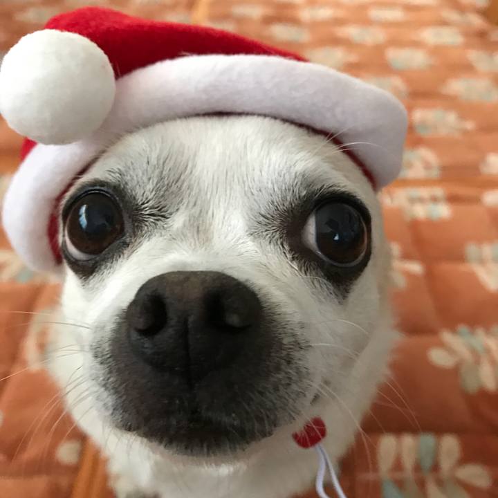 A6a0a5d9 7f58 4373 9b46 3c20b33c3a71 1514074084323