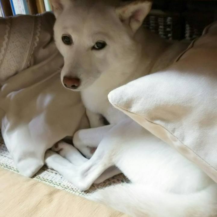 A6a0dbb3 f047 4a16 998f 235af7e09a60 1539958711384