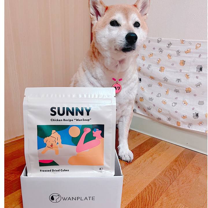 A6a11244 49b4 4118 996a 5bdc273e31e9 1722660978968