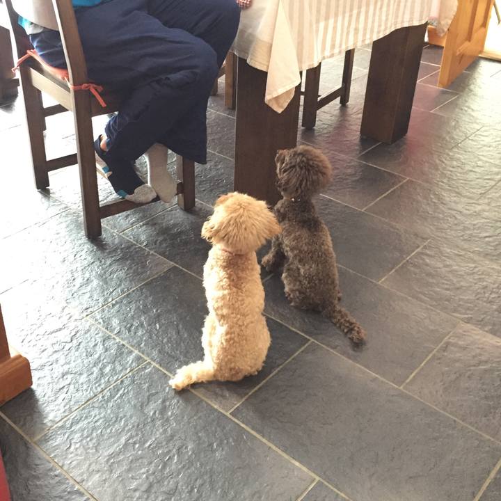 A6a14137 d219 478e 9ef9 a0a8969bf9f0 1520075296465