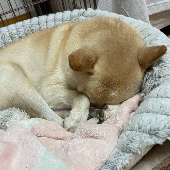 A6a181ac 3b56 4fea a810 156c94ae2f51 1700572089075