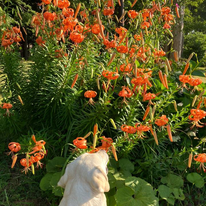 A6a1a190 db40 4c27 ab1e 428400fd545e 1688944856800