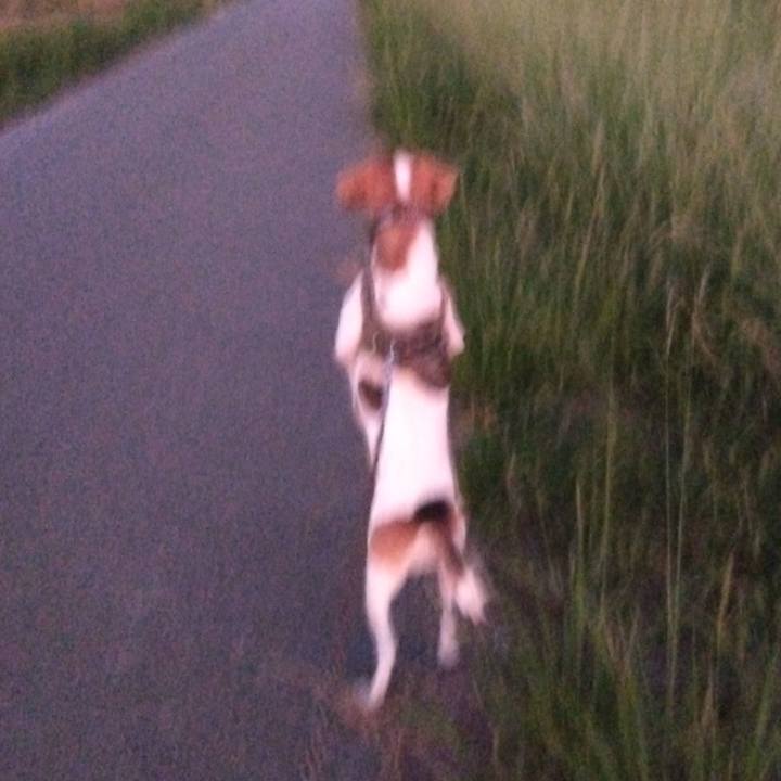 A6a1cb1e a6b5 48a4 ae70 623127adc94e 1695980501759