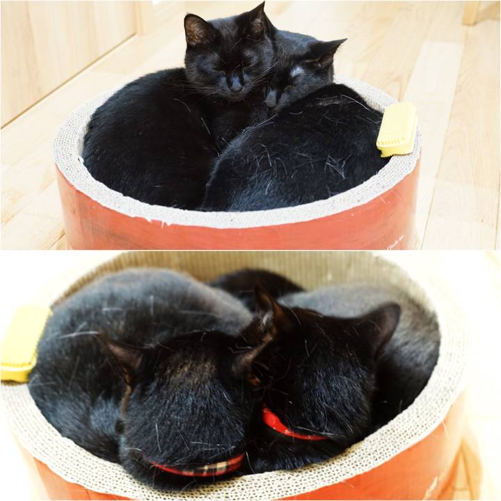 A6a1f213 7f4f 4e2c be48 c432826f868e 1525870854883