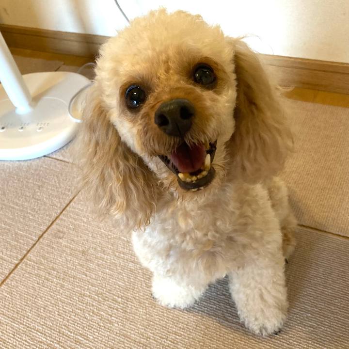 A6a1f93b 9b9a 4a5b 9574 8b7c1570f262 1625350275023