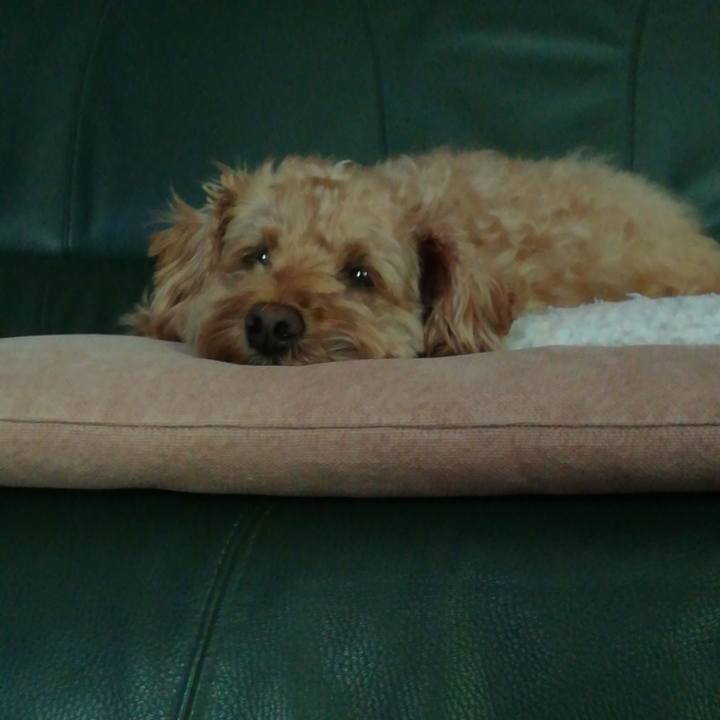 A6a20314 205d 4c10 8f9d 8db2222875bf 1560466665544