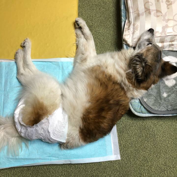 A6a230e2 dc8d 472d a374 854e90d687ae 1550241503379