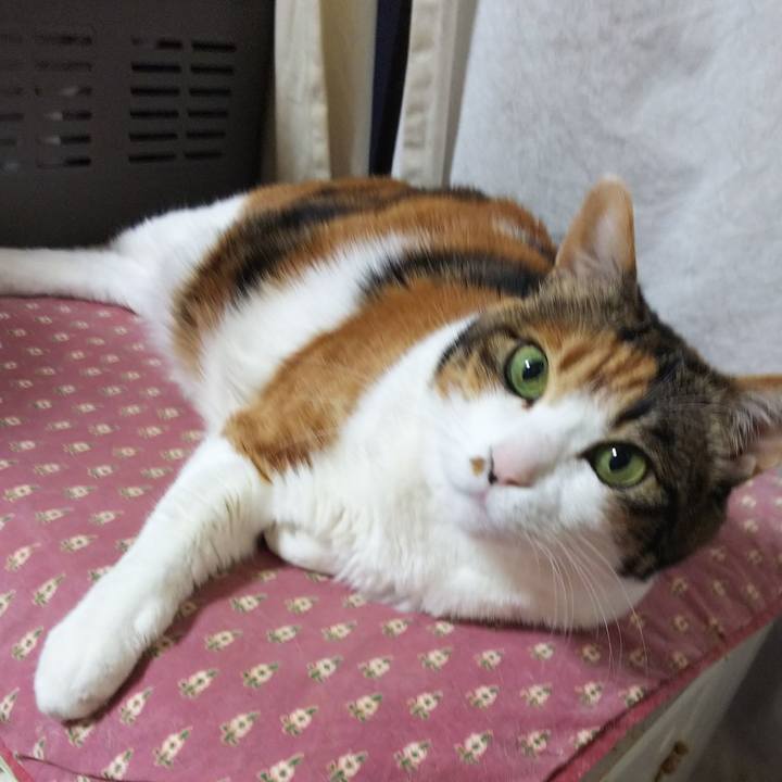 A6a26444 31aa 4316 b1d8 b92c9a963a35 1550525762547