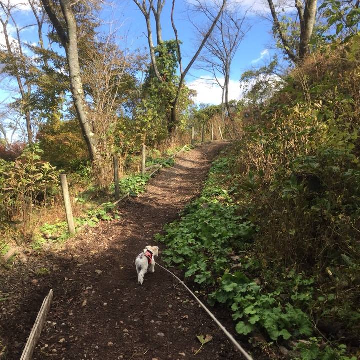 A6a29d29 ea53 4016 bcc3 0d1bf845e350 1511177726480