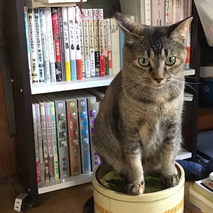 A6a2adb5 2ee4 4657 9f00 6997dcd1dbce 1630213946161