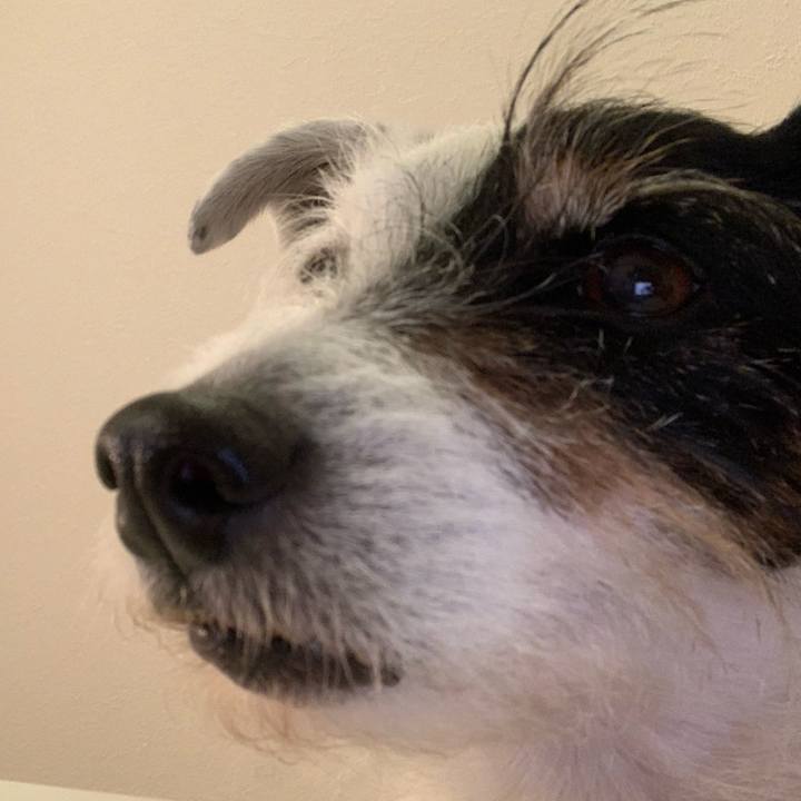 A6a2ca6b 8ffa 450a b7ed 16f5b4b44ac8 1708942198342