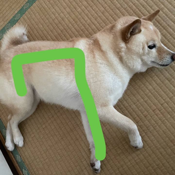 A6a2dd7f efb0 427e 979f 490fac412d52 1686178586693