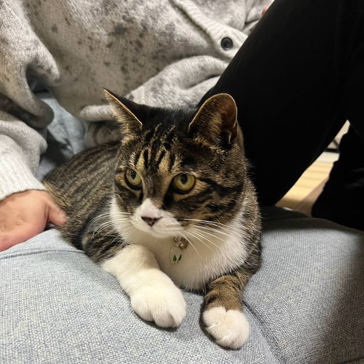 A6a2ebe5 79f3 4f6c a302 a1484dae1b3f 1776035457941