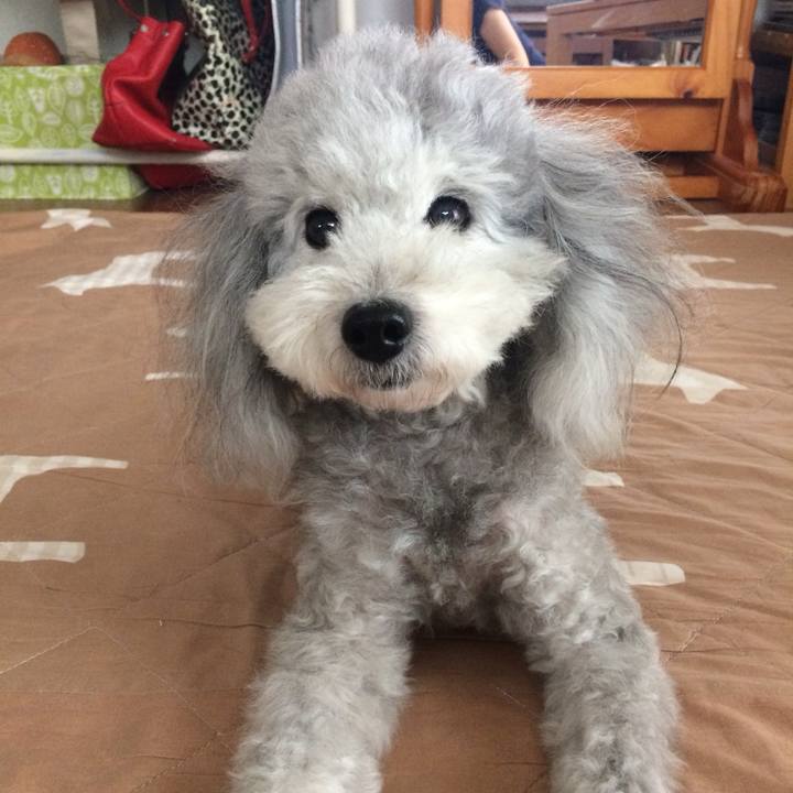 A6a2f9f4 0677 4359 96a9 66cb3447773e 1759141139778