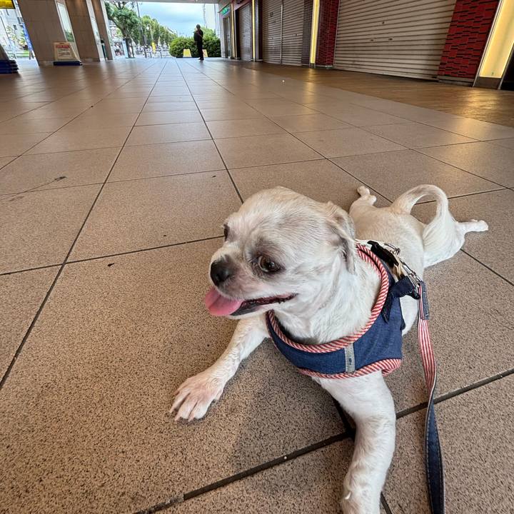 A6a30f79 cbb5 4aae 8865 1d90e43a41cc 1755726399101