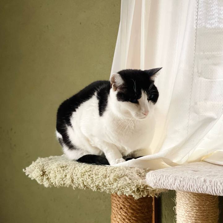 A6a31f86 0009 4eb6 8734 c481cb81d8d9 1645149531403