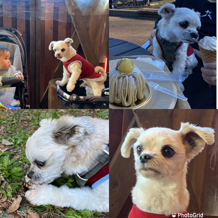 A6a3313f 8177 44de 826d bb631af3320c 1639216800958