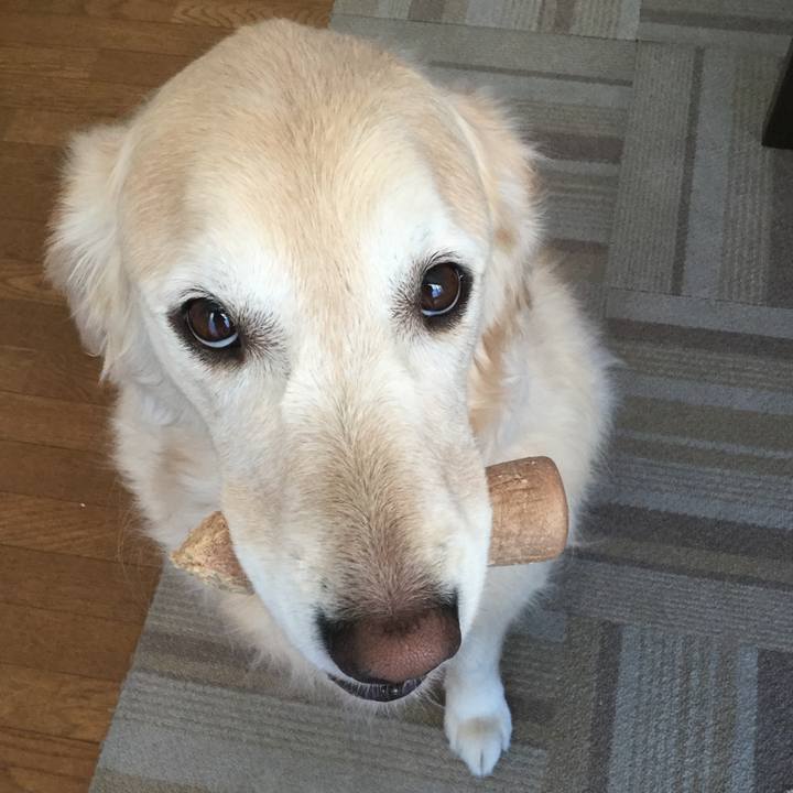 A6a344b7 34ea 495c b993 672553e29859 1546815516700