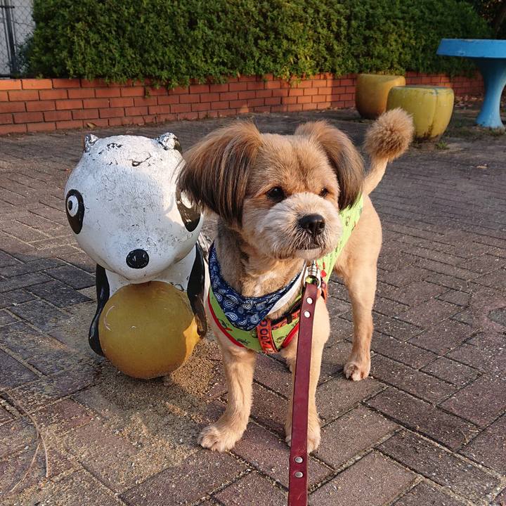 A6a3543f 7ff6 4393 9da6 cfff184539d0 1553036792485