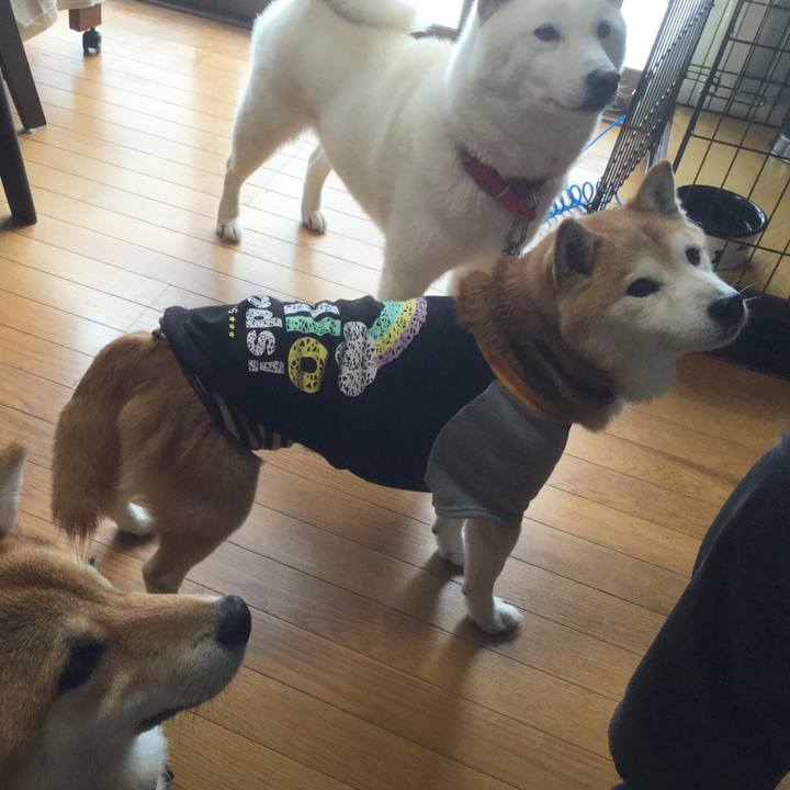 A6a36144 095a 42d0 b208 054aec1d6fc1 1534894996565