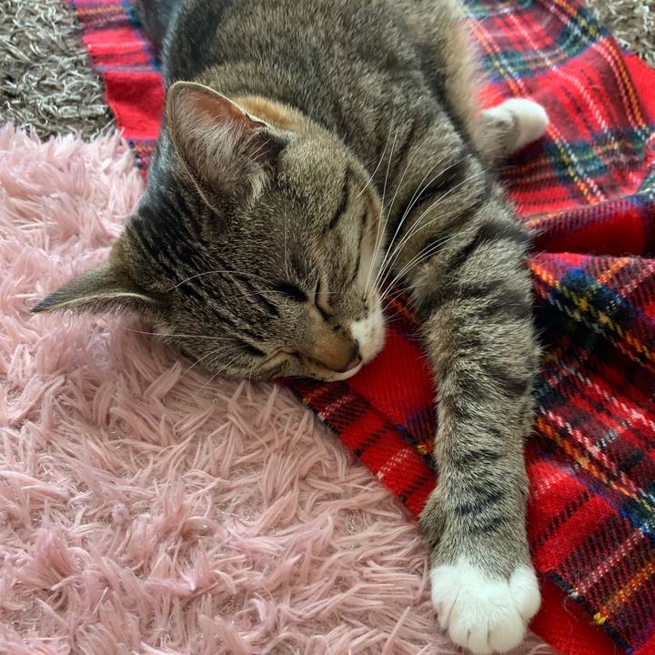 A6a3cef6 fba1 410e 91cd 3bb9c6cb9af0 1554795256965