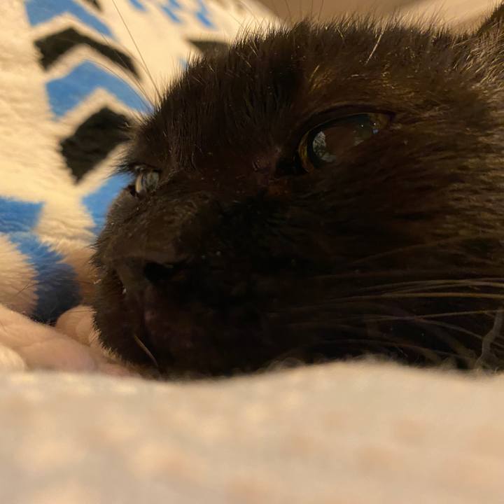 A6a40780 e57b 4ae2 a91f f31bc238ddf9 1665394432219