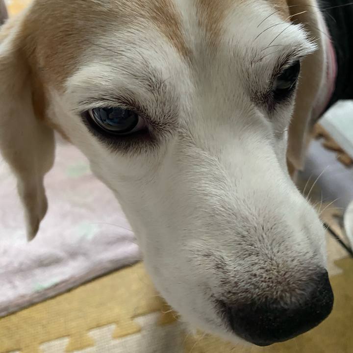 A6a4316f 309f 478b 848c 0a78bd2c506a 1602223356292