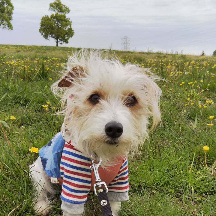 A6a4531e 643f 4a2e 8df2 ad7fbb6d5580 1523690728870