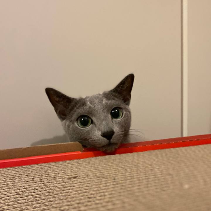 A6a4b6d7 be1f 448e 92c4 4b0bf3e0325e 1699452433392