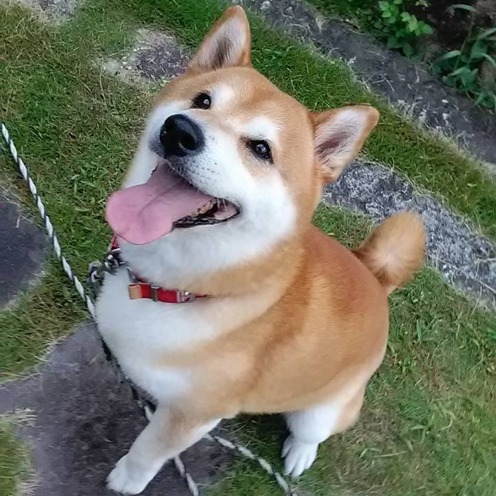 A6a4b8b4 ff91 4b36 b96c f24a9e457075 1597219177035