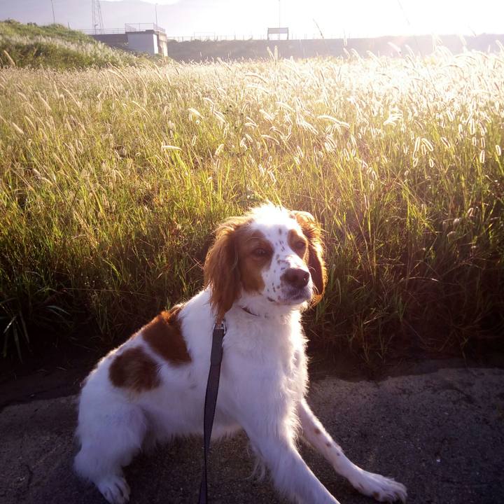 A6a4c611 1f2b 4979 96e6 c7be5406eac6 1509064559403