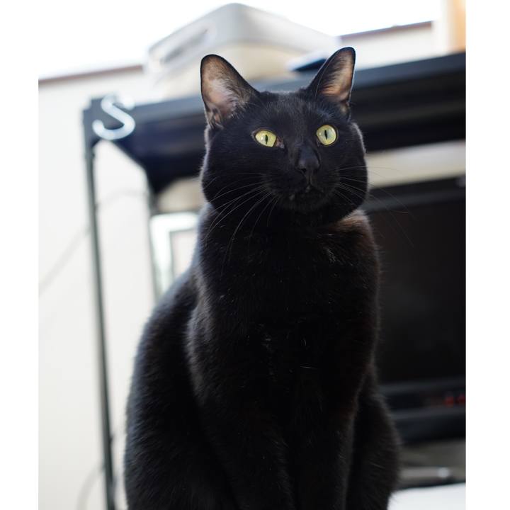 A6a4c8b2 ea21 4afc bdcd 2356a32d411a 1575416897165