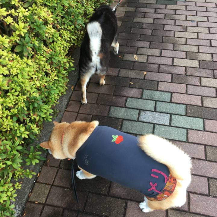 A6a50912 92ed 440b 8b88 7d275e781fbc 1542683559450