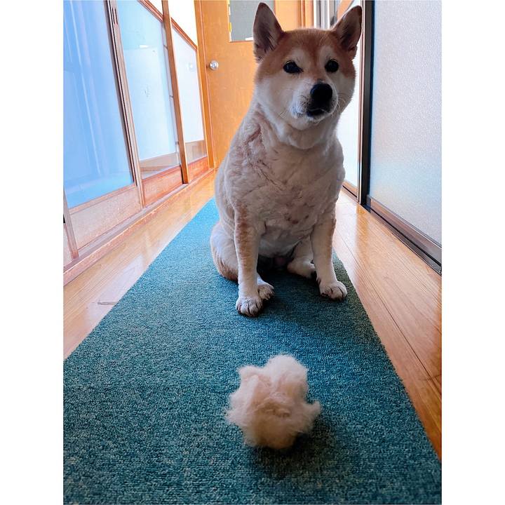 A6a5122a 90b4 4ef5 b75b 37f1850966b3 1715906677614