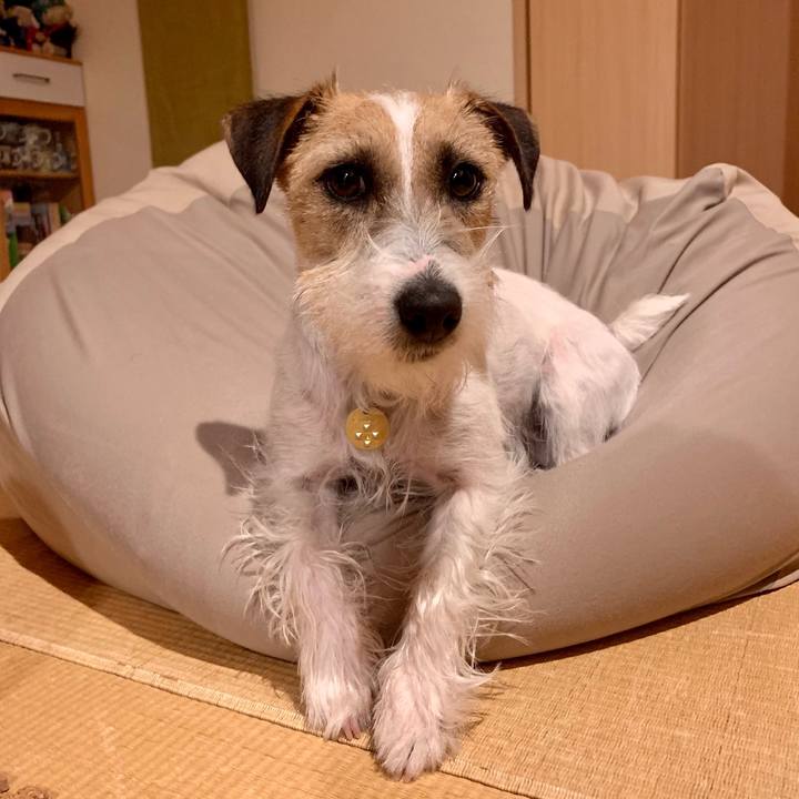 A6a55967 7d32 47ec b306 c5ff04138be1 1614170549834