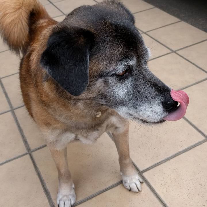 A6a5a118 ab37 4c3d a30d 0907387e97d8 1521171008603